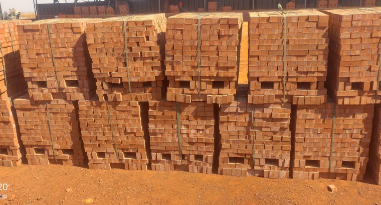 Common hard burn bricks