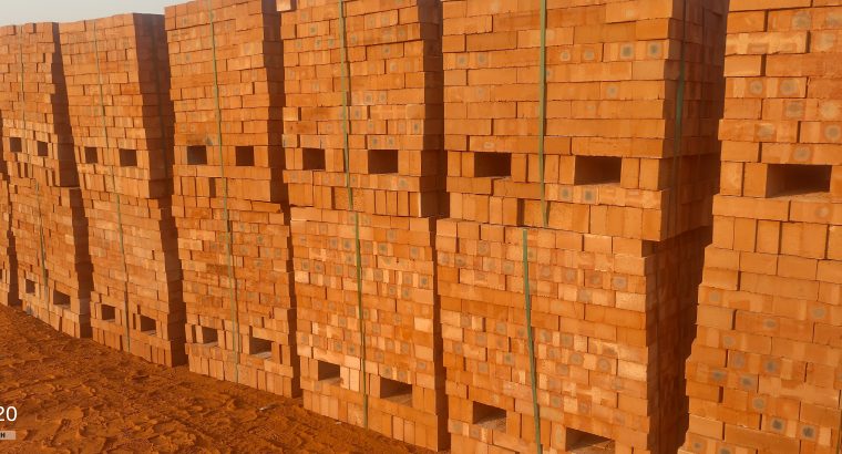 Common hard burn bricks