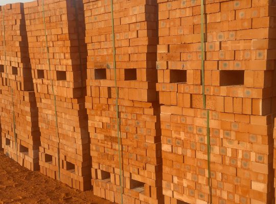 Common hard burn bricks