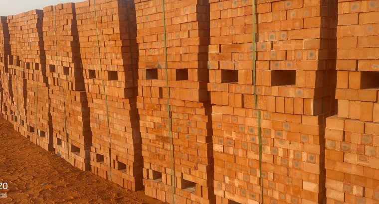 Common hard burn bricks