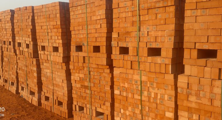 Common hard burn bricks