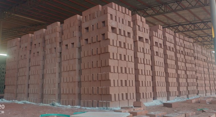 Common hard burn bricks