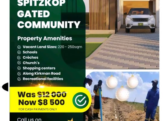 FESTIVE SEASON PROMOTION