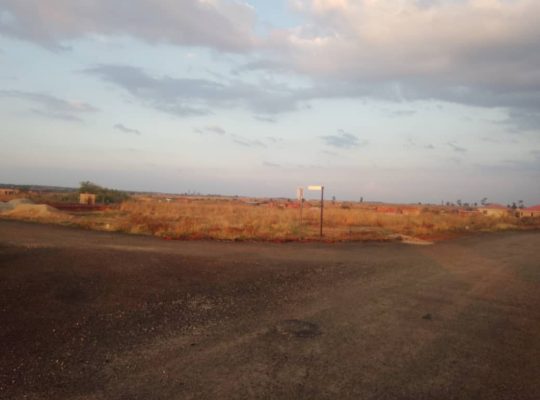 PENROSE STAND FOR SALE