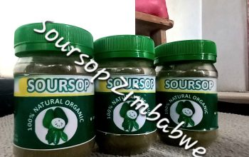 Soursop Graviola Powder and Leaves