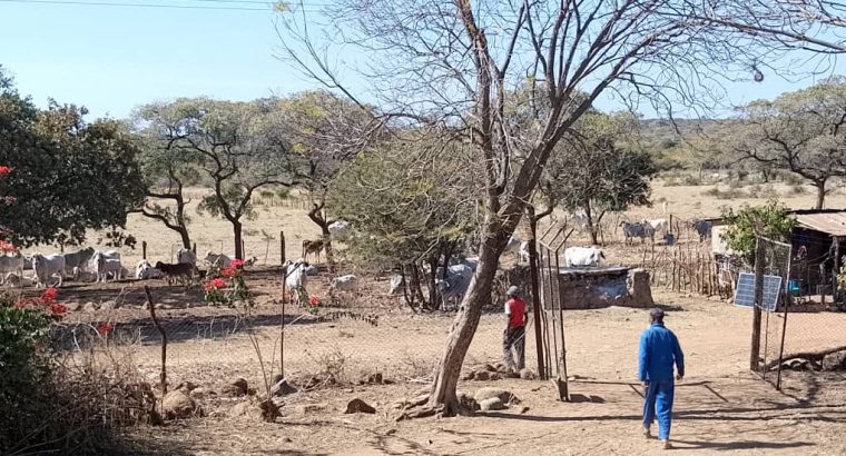 2 X MATABELELAND NORTH FARMS FOR SALE